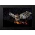 thumbnail image 2 of Moglia, Fabrizio 24x17 Black Modern Framed Museum Art Print Titled - Tawny Owl And The False Fire, 2 of 5