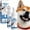 3*60ml#B11, variant on 2026 New 60ml Foaming Pet Oral Tartar Remover Spray, No Brushing Dog Dental Spray for Teeth Cleaning, Breath Freshener & Gum Care for Dogs and Cats
