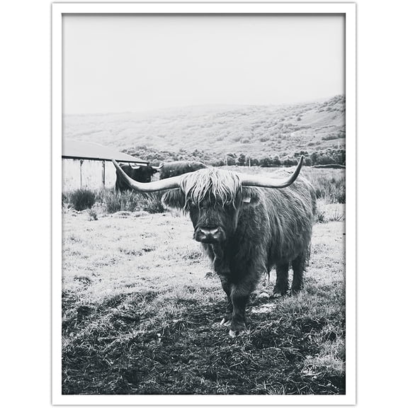 PixonSign Framed Wall Art Print Highland Cow Standing Near Farm Animals Wilderness Photography Realism Modern Portrait Relax/Calm Black and White for Living Room, Bedroom, Office - 12"x16" WHITE
