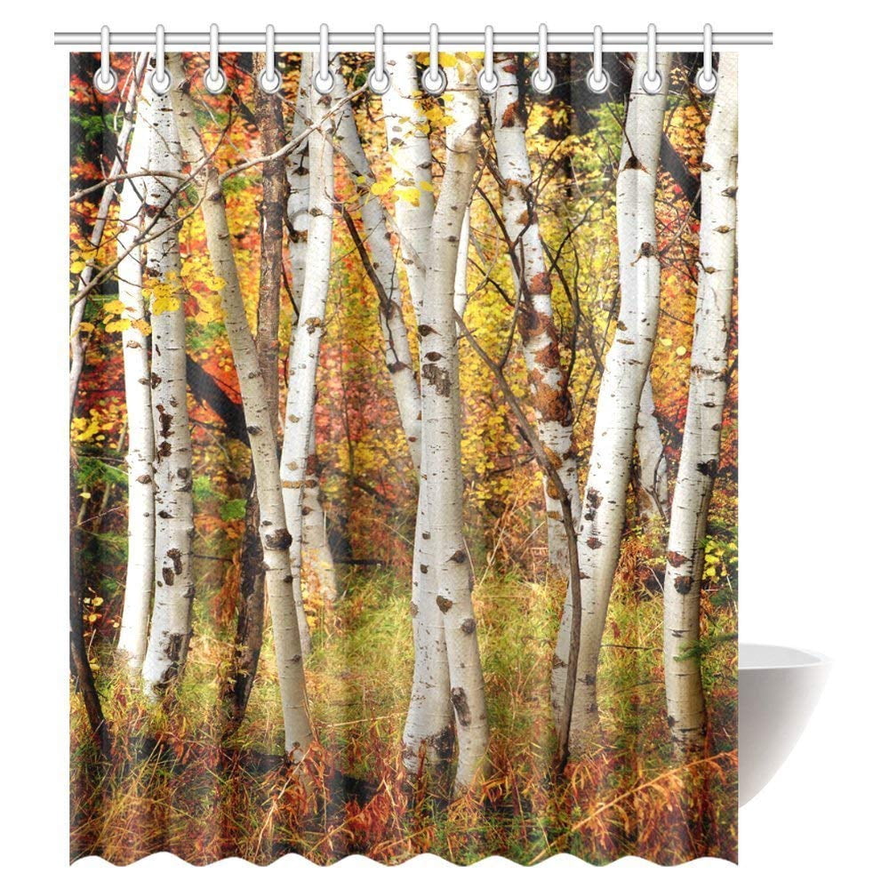 ARTJIA Fall Woodland Shower Curtain, White Fall Birch Trees with Autumn ...