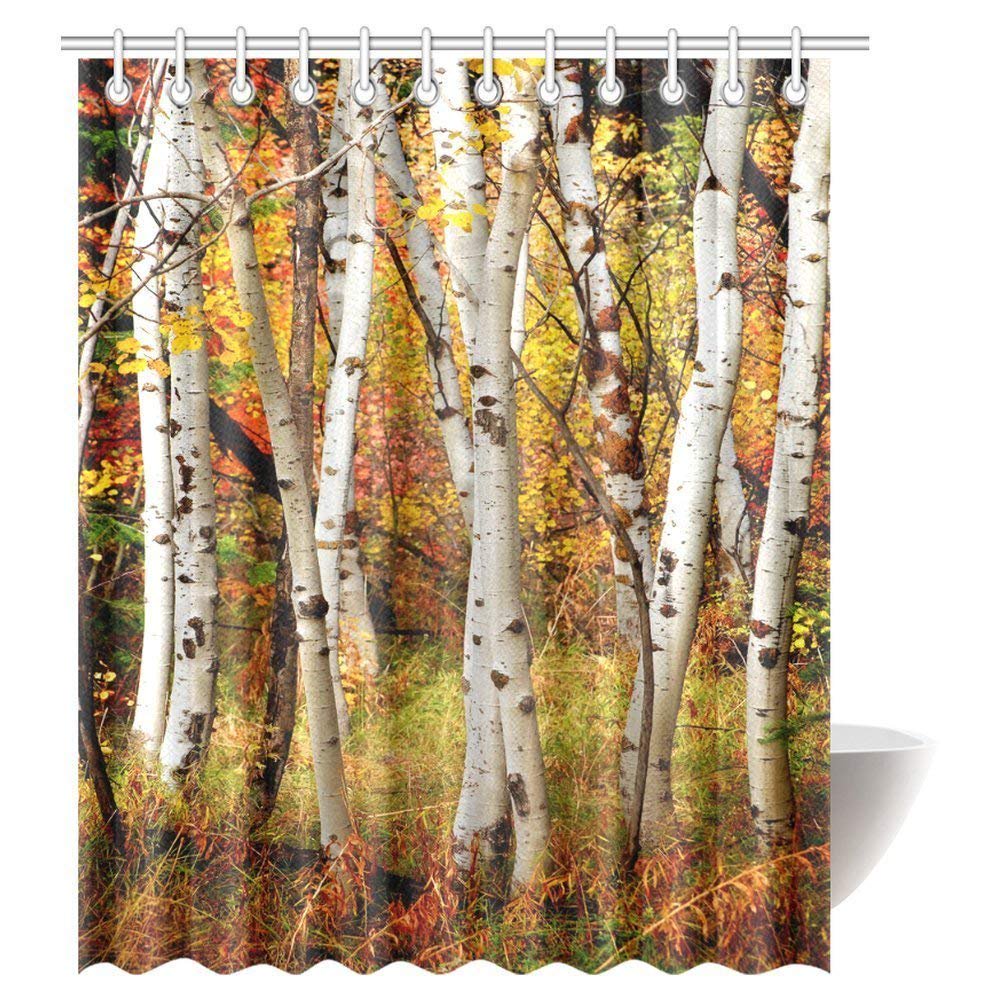 ARTJIA Fall Woodland Shower Curtain, White Fall Birch Trees with Autumn