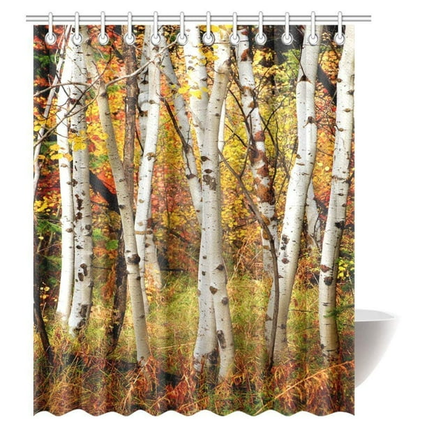 ARTJIA Fall Woodland Shower Curtain, White Fall Birch Trees with Autumn