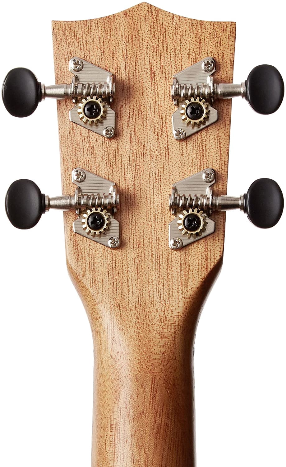 Kala Learn To Play Soprano Ukulele Starter Kit Nickel Fret Update