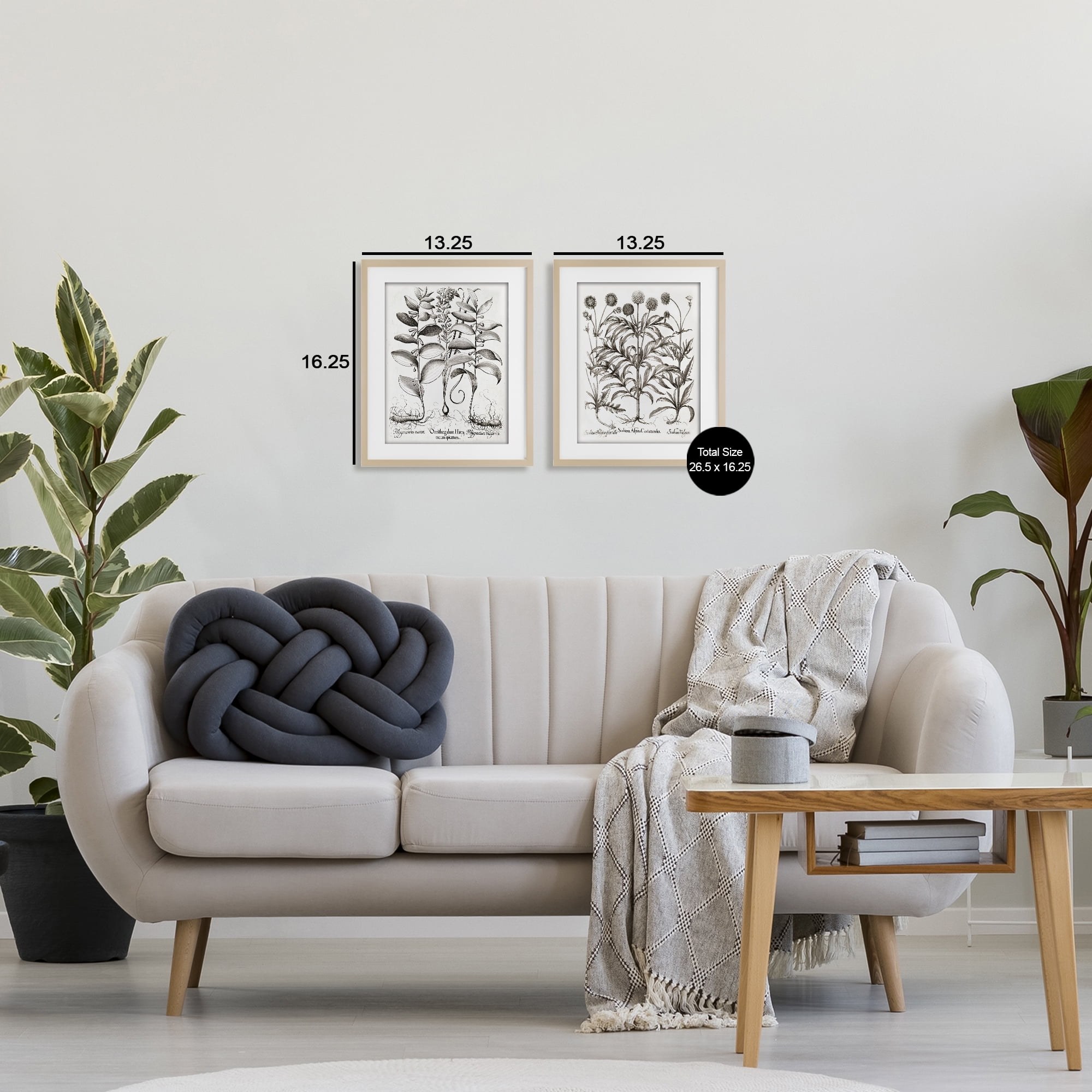 Botanical Root & Plant Studies 2 Piece Birch Framed Print Under Glass Set, design by Lettered and Lined