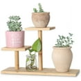 thumbnail image 1 of Soporte para plantas suculentas para escritorio, regalo para amantes de las plantas, estante decorativo de bambú de 3 niveles, que ahorra espacio, estructura fuerte y resistente para uso en, 1 of 5