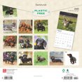 thumbnail image 2 of Dachshunds | 2025 12x24" (Hanging) Wall Calendar | Plastic-Free | BrownTrout, 2 of 9