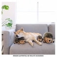 thumbnail image 4 of Juguete para Perro OutwardHound Durablez Puercoespin, 4 of 4