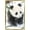 Gold Framed Version, variant on Trends International Animal - Panda Poster
