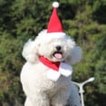 thumbnail image 5 of A 5-piece set of Christmas costume accessories, including Santa hat, scarf, Christmas bowknot collar, bell with bow and headband, suitable for pet Christmas costume. (single-faced velvet suit size S), 5 of 5
