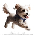 thumbnail image 2 of Pechera para Perro Leathern Tiras de Nylon y Cuero Talla Chica, 2 of 4