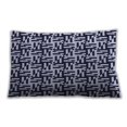 thumbnail image 1 of Ahgly Company Indoor Rectangular Contemporary Lumbar Throw Pillow, 13 inch by 19 inch, 1 of 5