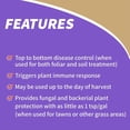thumbnail image 5 of Bonide Revitalize Biofungicide, 16 oz Concentrate Disease Control for Organic Gardening, Controls Blight & Mold, 5 of 10