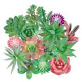 thumbnail image 3 of 16PCS Lifelike Succulent Plant Mini Faux Succulent Decor with Artificial Moss, 3 of 9