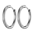 thumbnail image 1 of A Pair Of Unisex Coil Earrings Suitable For Outdoor Dinner Parties, 1 of 1
