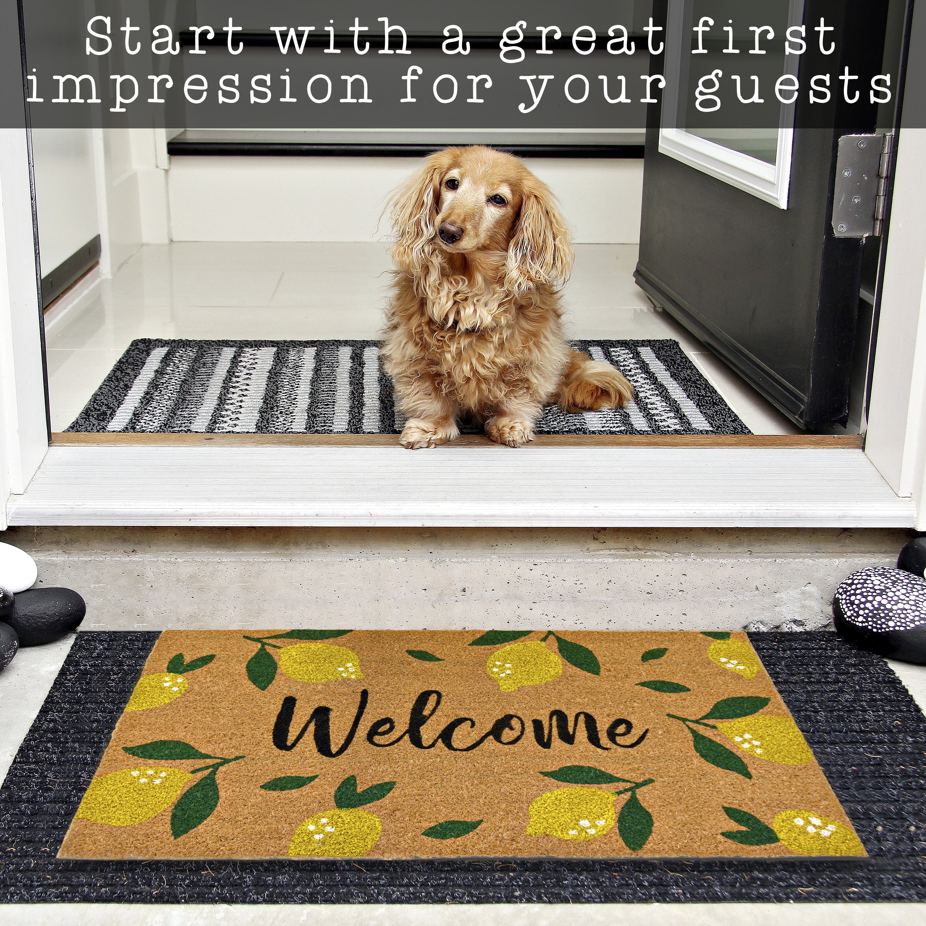 MAINEVENT Lemon Spring Doormat 30x17 Inch, Outdoor Welcome Mat for Outside