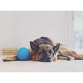 thumbnail image 3 of Pelota de fútbol Jolly Pets Dog Toy, tamaño mediano, azul océano, 15 cm, 3 of 5
