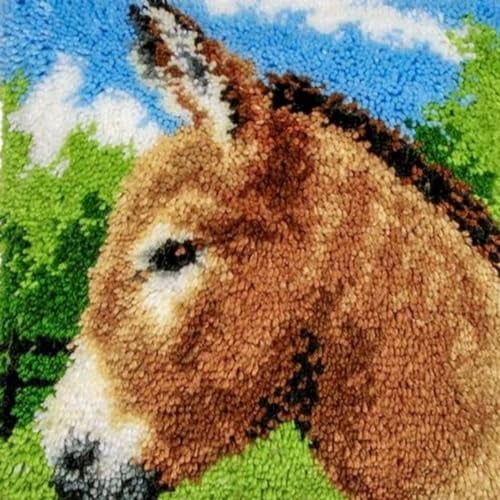 Animal Donkey Latch Hook Rug Kit for Adults Carpet Chair Cushion with Printed Canvas Crochet Yarn Craft DIY Handmade Tapestry for Stools Floor Decoration Pets Warm Pads 40x40cm