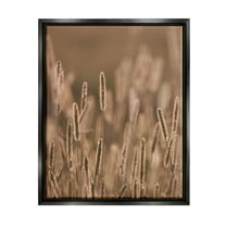 Rural Wheat Field Nature Botanical & Floral Photograph Jet Black Framed Art Print Wall Art
