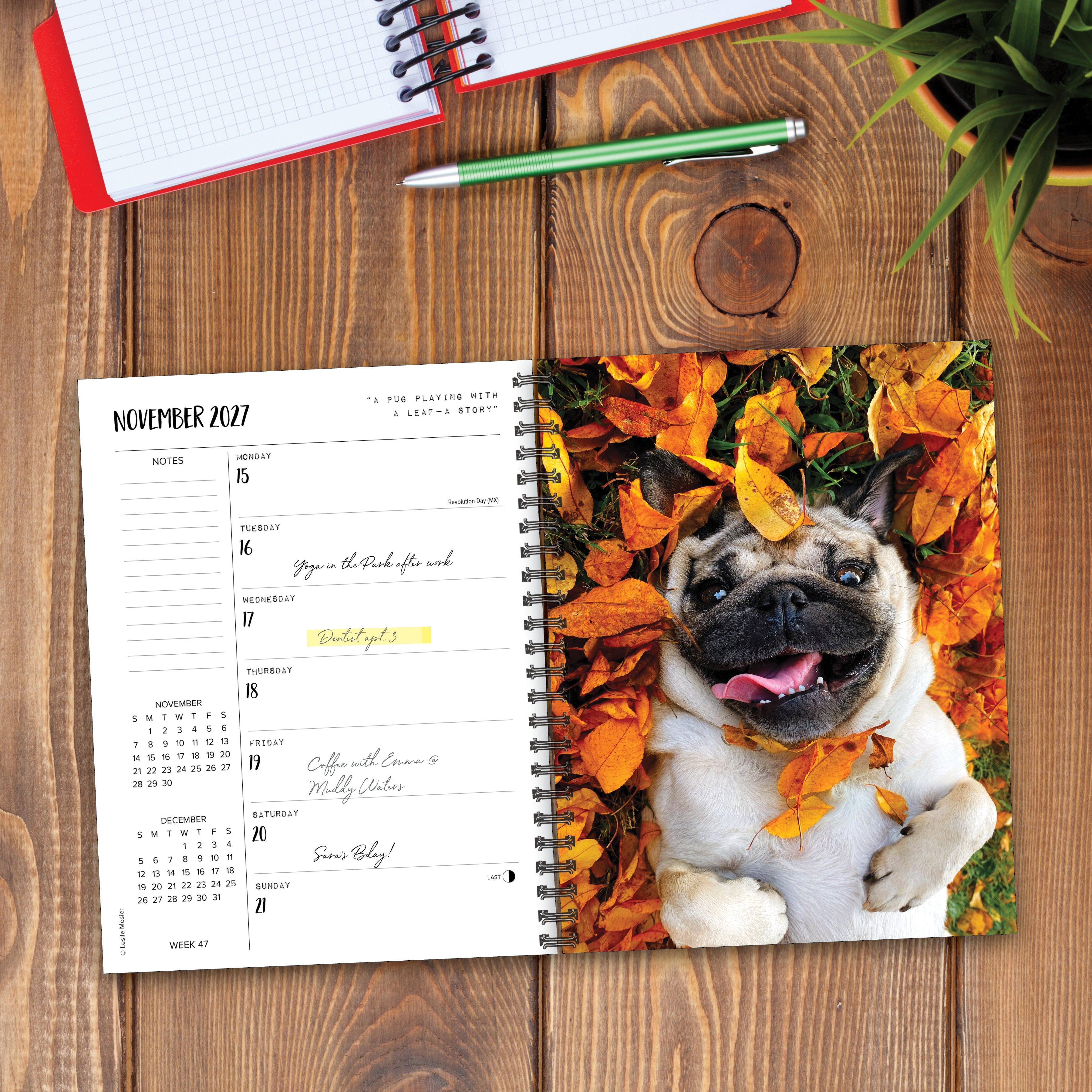Willow Creek Press, Doug the Pug 2027 Engagement Calendar