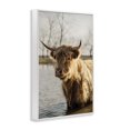 thumbnail image 3 of Stupell Industries Traditional Peering Cattle in Water White Framed Giclee Art, 12 x 18, by Dakota Diener, 3 of 8