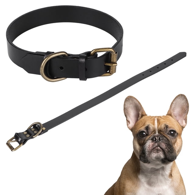 Elegante collar de cuero negro para perros con hebilla de metal bronceado para mascotas pequeñas y medianas, M