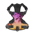 thumbnail image 4 of Gaeub Palm Trees at Sunset Gaeub Palm Trees at Sunset No Pull Dog Harness, Secure and Adjustable Pet Vest for Outdoor Activities - Medium, 4 of 8