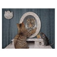 thumbnail image 1 of 100 piezas de juguetes de rompecabezas para el desarrollo intelectual de adultos y niños, regalo para las fiestas, 1 of 5