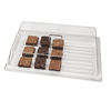 Display Rectangular 12" X 20" Clear