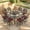 Dark Bronze/Red, variant on VIVIJASION 10-Piece Outdoor Bar Set, All Weather Cast Aluminum High Patio Dining Set with 8 Cushioned Swivel Bar Stools, Large 64" Square Patio Bar Height Table with Detachable Lazy Susan