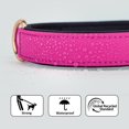 thumbnail image 3 of Collar de perro Didog de nailon suave, acolchado e impermeable para perros medianos, 3 of 9
