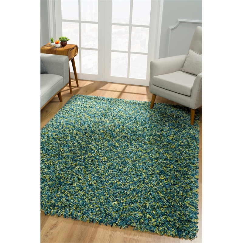 Pemberly Row 5x7 Shaggy High Pile Fluffy Area Rug in Teal