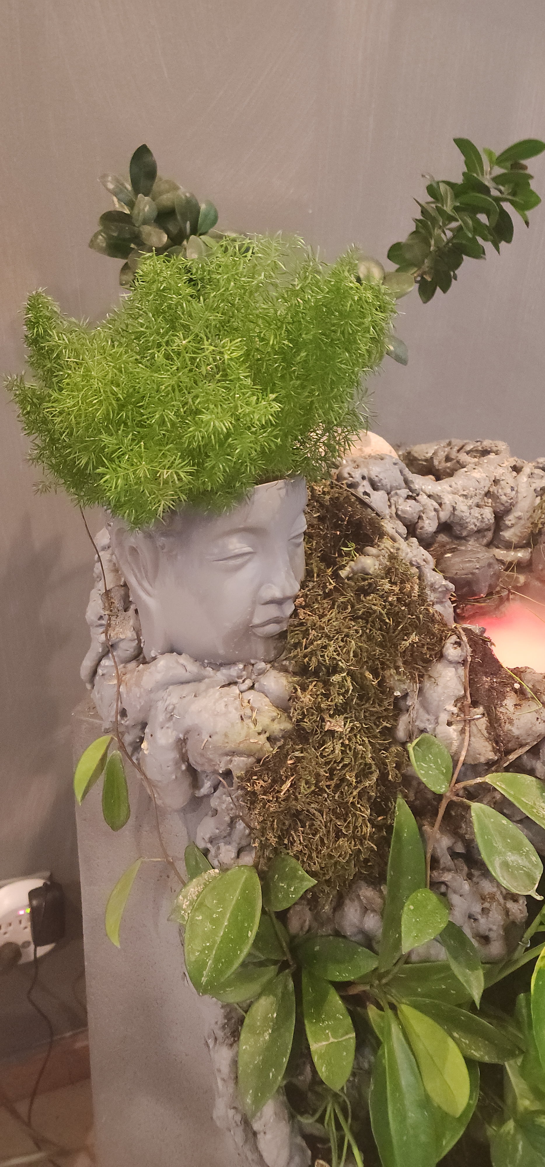 Decorative Terrarium Planter Waterfall Fountain with Stone Design, Live Mixed Plants, Indoor Garden Display, 58 Inch