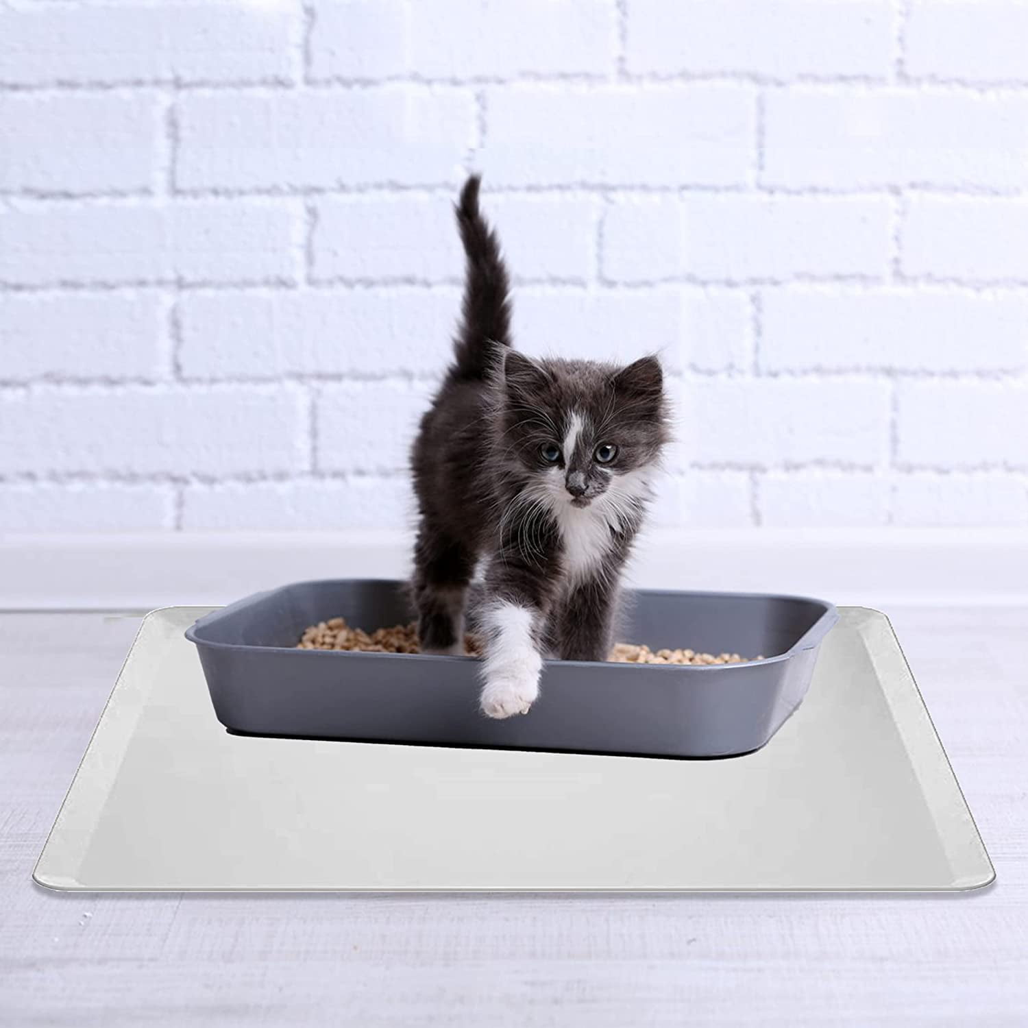 Skywin Spotless Spring Cat Litter Mat Medium Grey – 24x24 Inch Durable Silicone Cat Litter Mat Litter Trapping Mat for Underneath Litter Box – Lightweight Mat for Cat Litter Box (Grey)