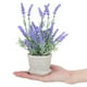 thumbnail image 5 of ADDHAT Planta Lavanda Falsa En Maceta Para De Oficina Y En Tonos, 5 of 7