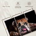 thumbnail image 6 of Elephant Stock Sad Bulldog Wall Art - Horizontal Multi Panel Canvas - Living Room Wall Decor - Animal Multi Panel - Black And Orange Decor - 38" x 24", 6 of 8