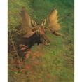 thumbnail image 3 of Bierstadt, Albert 12x14 Black Modern Framed Museum Art Print Titled - Study of a moose, 3 of 5