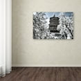thumbnail image 3 of Trademark Fine Art "White Temple I" Canvas Art by Philippe Hugonnard, 3 of 3
