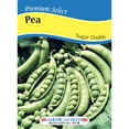 thumbnail image 2 of American Seed Pea Sugar Daddy Seeds, Annual Vegetables Full Sun, 2 of 7