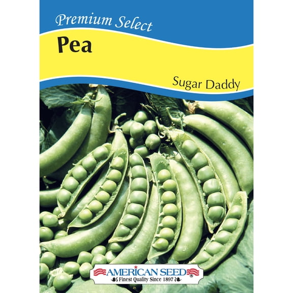 American Seed 4G Pea Sugar Daddy Annual Vegetable, Full Sun