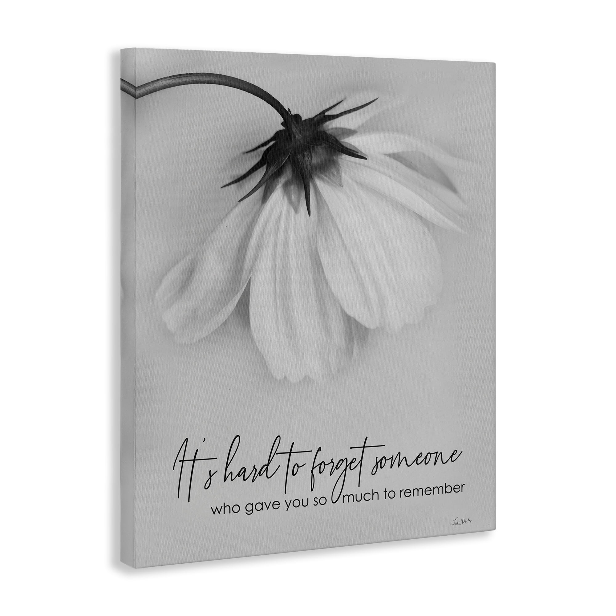 Stupell Industries So Much To Remember Botanical & Floral Painting Gallery Wrapped Canvas Art Print Wall Art, 24 x 30