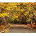 thumbnail image 2 of Theodore, George 23x20 Black Ornate Wood Framed with Double Matting Museum Art Print Titled - Maine-autumn colors, 2 of 4