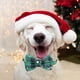 thumbnail image 4 of Collares navideños para perros con copos de nieve para gatos y mascotas pequeñas, medianas y grandes, 4 of 5