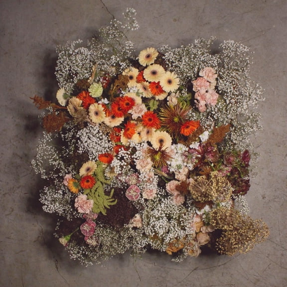 We Are the Willows - IV - Music & Performance - Vinyl