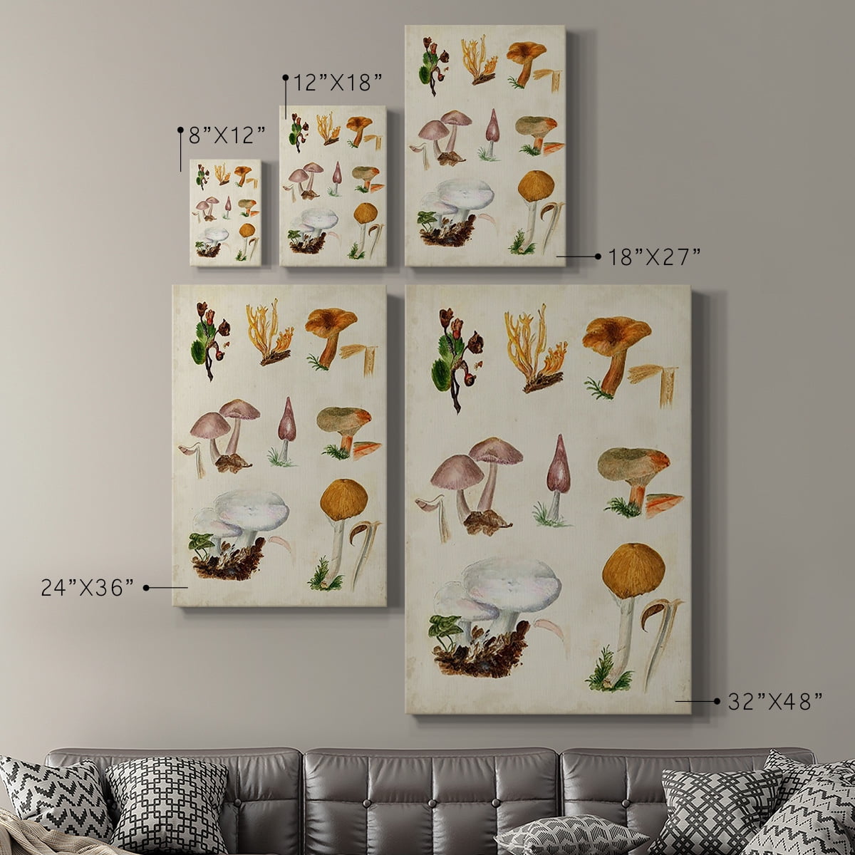 Mushroom Species VI Premium Gallery Wrapped Canvas - Ready to Hang