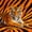 Brown Orange, variant on Manfei Rustic Tiger Full Size Comforter Sets, Abstract Animal Print Bedding Comforter Set, Brown Orange, Black Reversible, 3-Piece, 1 Comforter and 2 Pillowcases