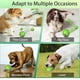 thumbnail image 4 of Shaky Ball Dog Toy,Viral Shaky Ball for Dogs,Shaky Ball Dog,Shaky Ball Toy, 4 of 5