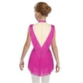 thumbnail image 2 of YiZYiF Kids Girls Sparkly Gymnastics Leotard Tassel Skirted Bodysuit Figure Skating Dance Costumes Hot Pink 16, 2 of 5