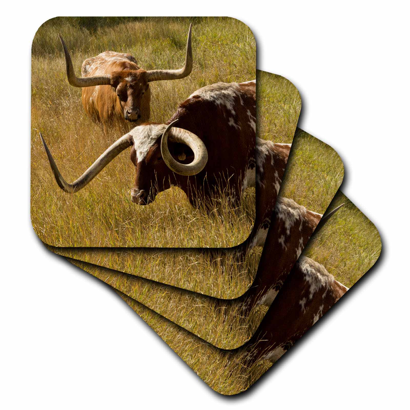 3dRose Texas Longhorn, Custer, South Dakota, Usa - Soft Coasters, set