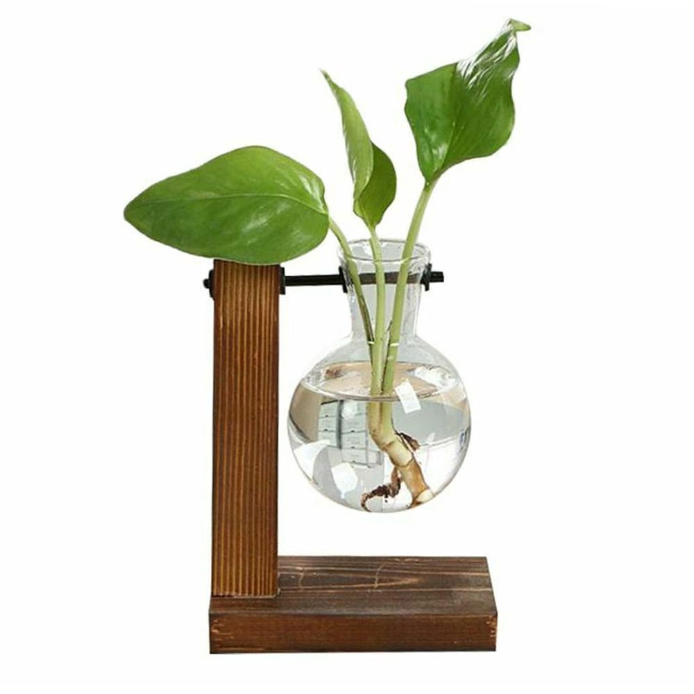 Tabletop Planter Flower Pot Wooden Frame Glass Vase Hydroponic Plant Vases 