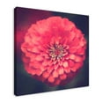 thumbnail image 2 of Creative Products Dark Red Flower 36x36 Canvas Wall Art, 2 of 5